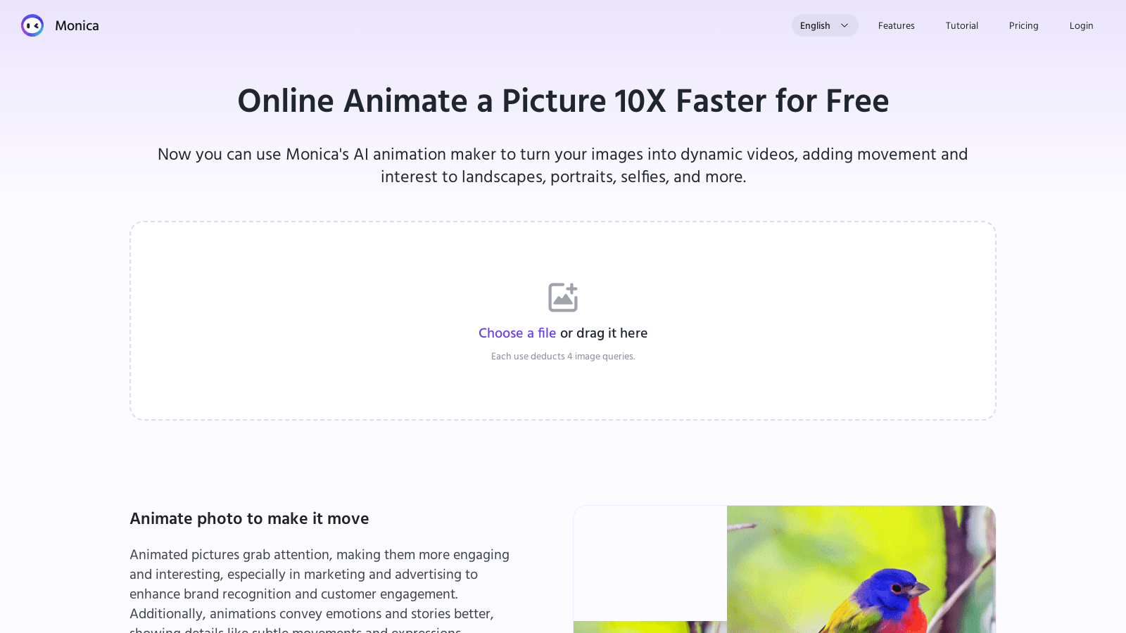 Monica Picture Animate