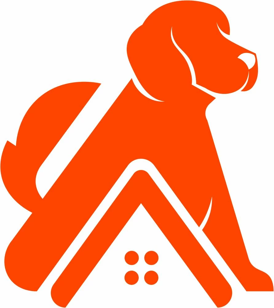 RoomDog